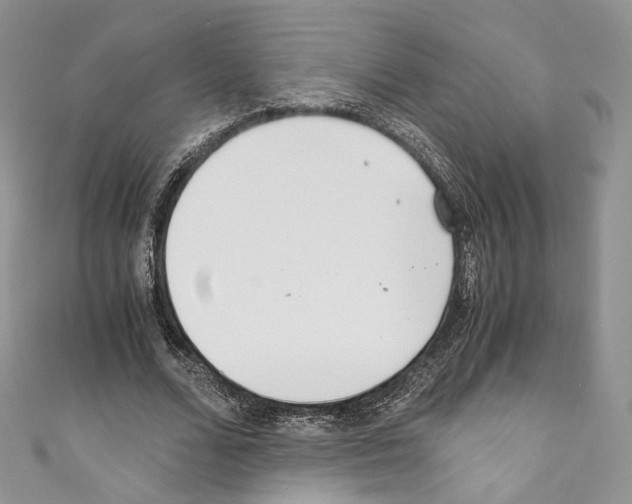 X0000110770680200907271205