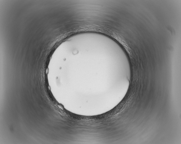 X0000110770681200907271205