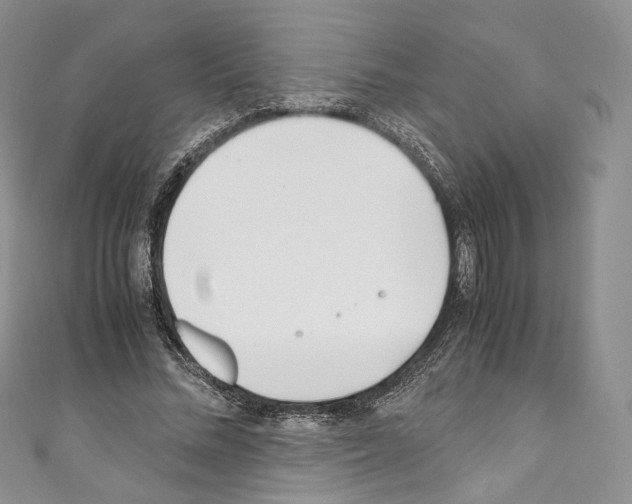 X0000110770684200907271205