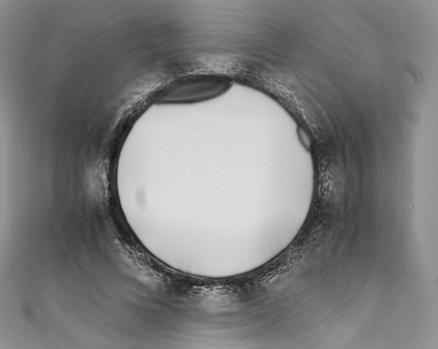 X0000110770688200907271204