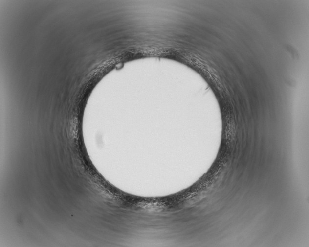 X0000110770689200907271204