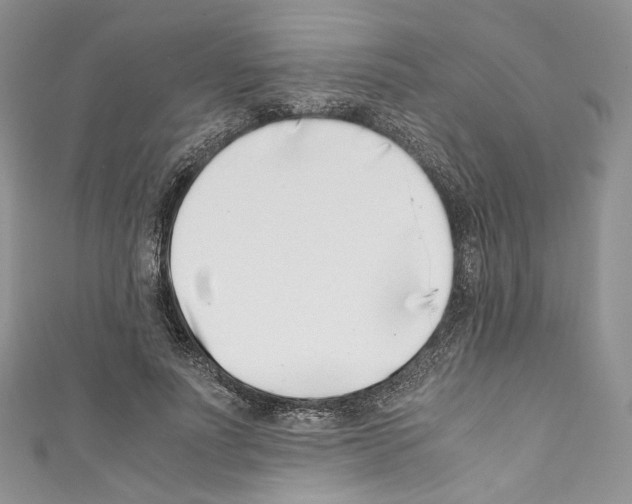 X0000110770691200907271204