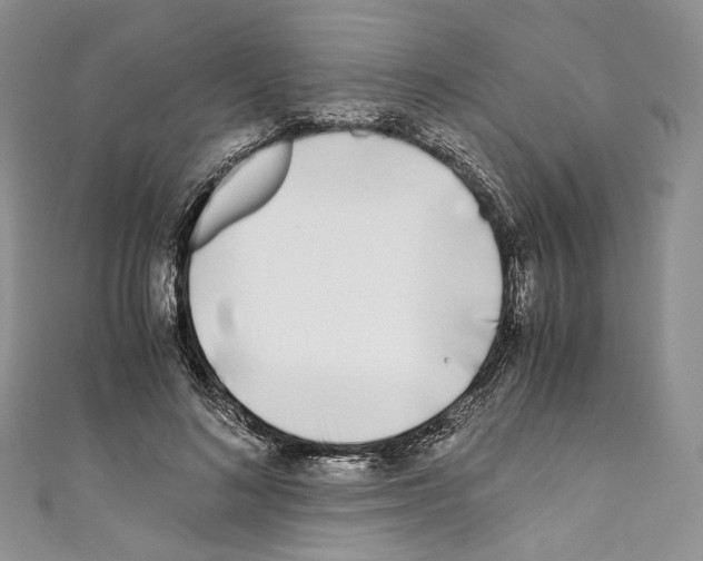 X0000110770692200907271204