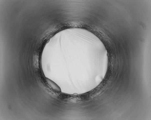 X0000110770696200907271204