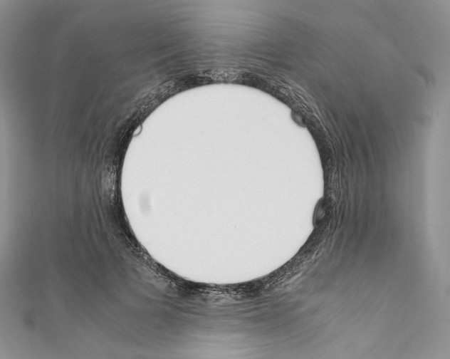 X0000110770697200907271204