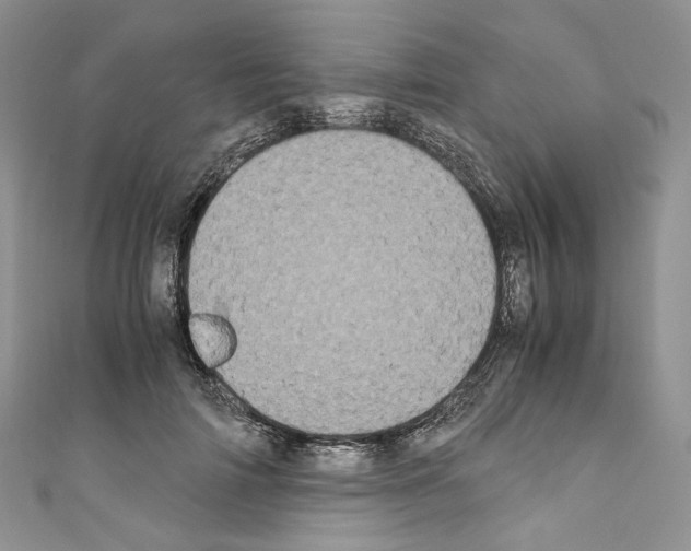 X0000110770698200907271204