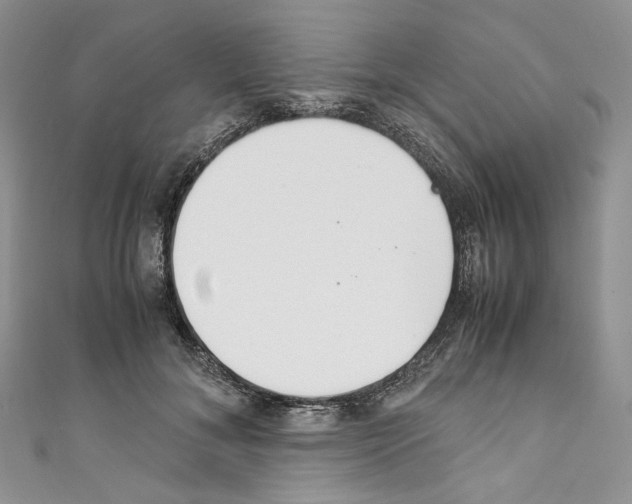 X0000110770700200907271204