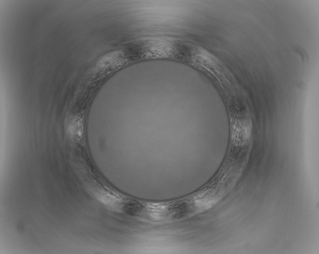 X0000110770701200907271204