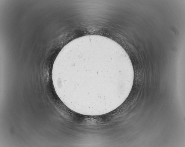 X0000110770703200907271204