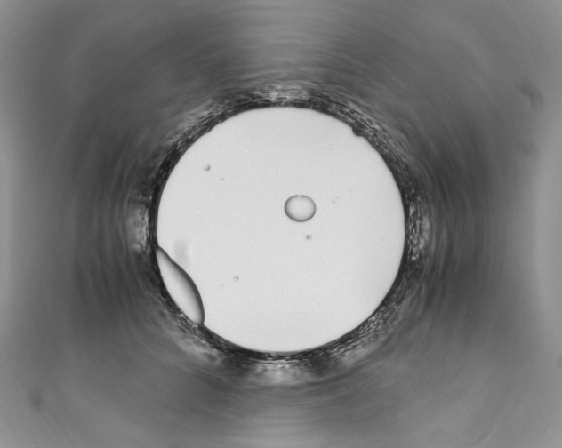 X0000110770704200907271204