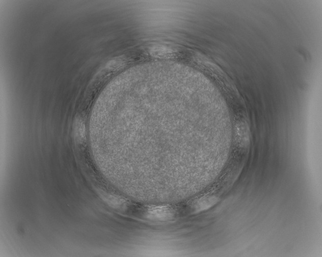 X0000110770705200907271204