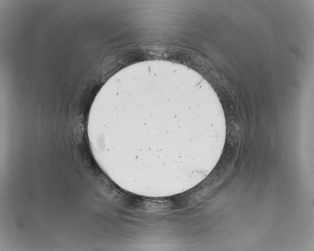 X0000110770707200907271204