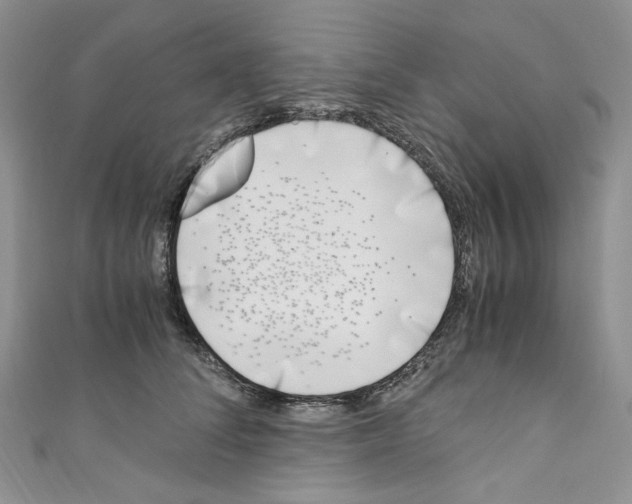 X0000110770708200907271204