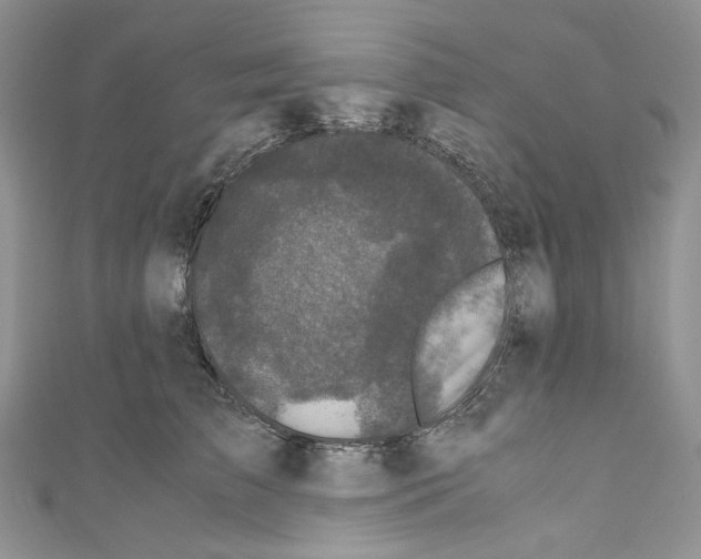 X0000110770709200907271204