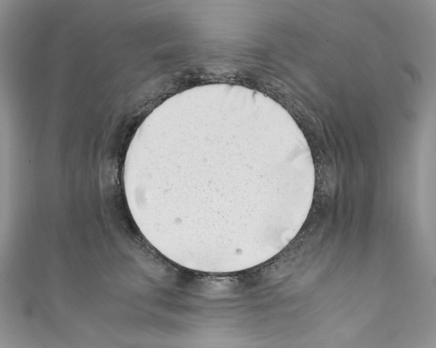 X0000110770711200907271204