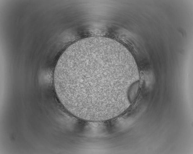 X0000110770713200907271204