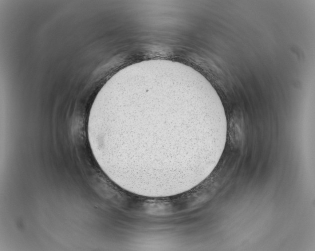 X0000110770714200907271204