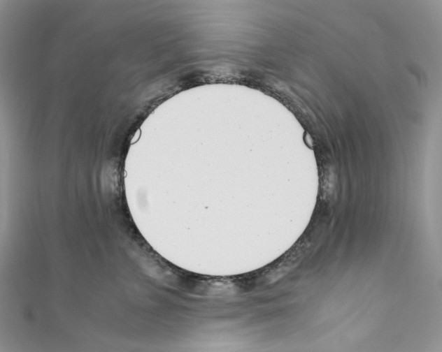 X0000110770715200907271204