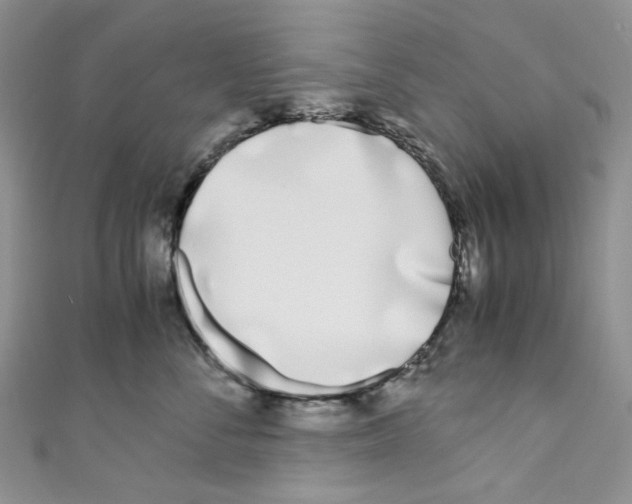 X0000110770716200907271204