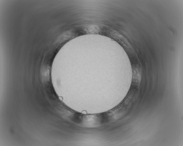 X0000110770717200907271204