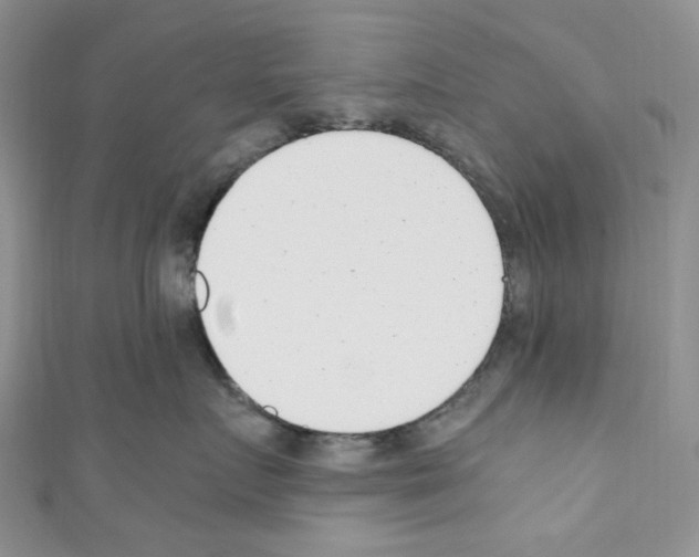 X0000110770719200907271204