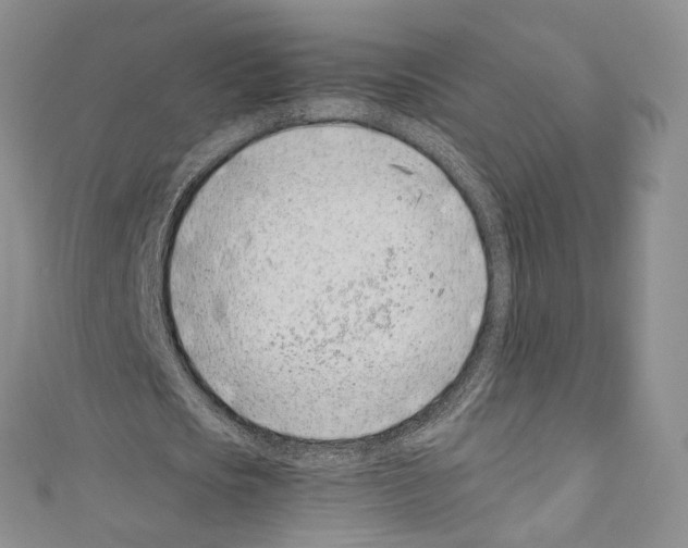 X0000110770721200907271203