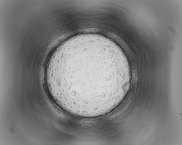 X0000110770725200907271203