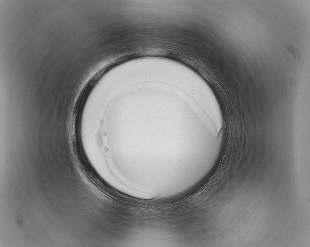 X0000110770726200907271203