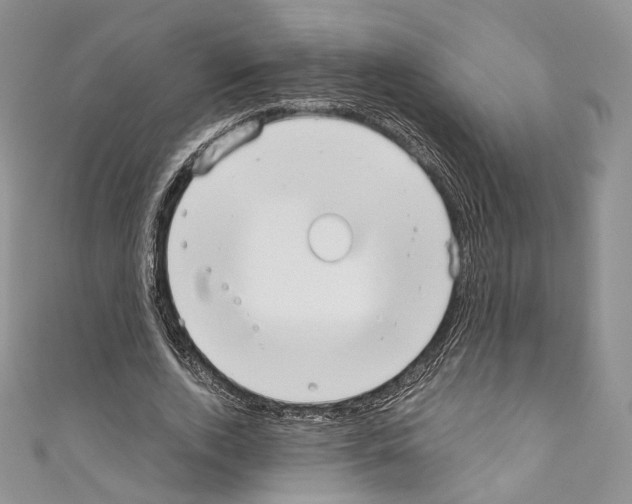 X0000110770728200907271203