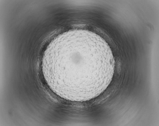 X0000110770729200907271203