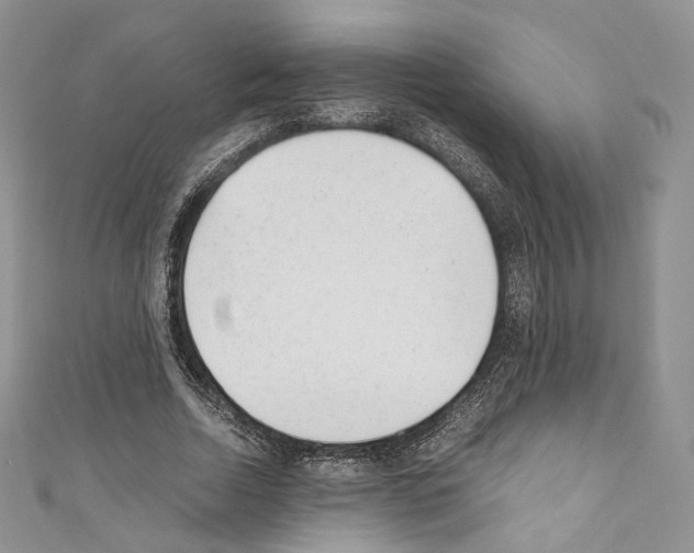 X0000110770730200907271203