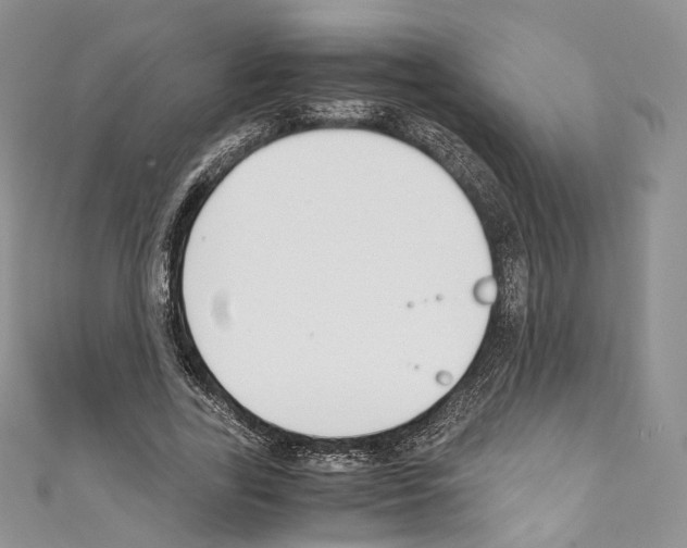 X0000110770731200907271203