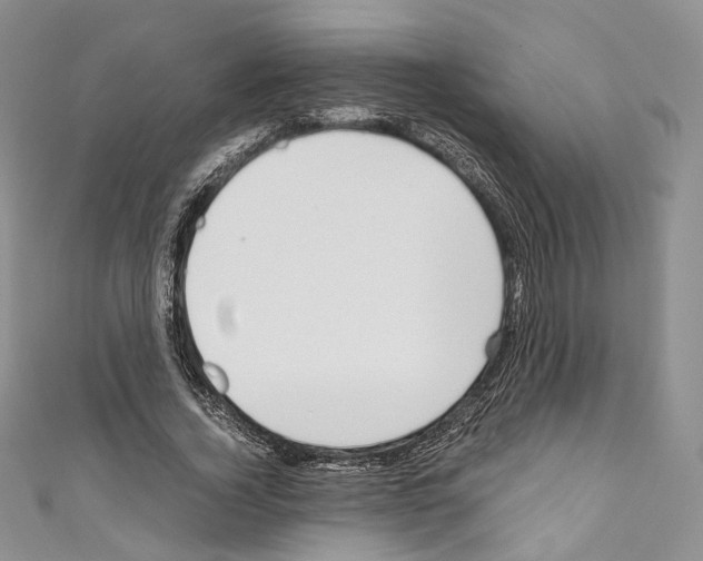 X0000110770732200907271203