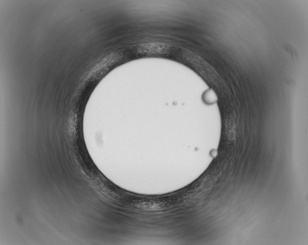 X0000110770735200907271203