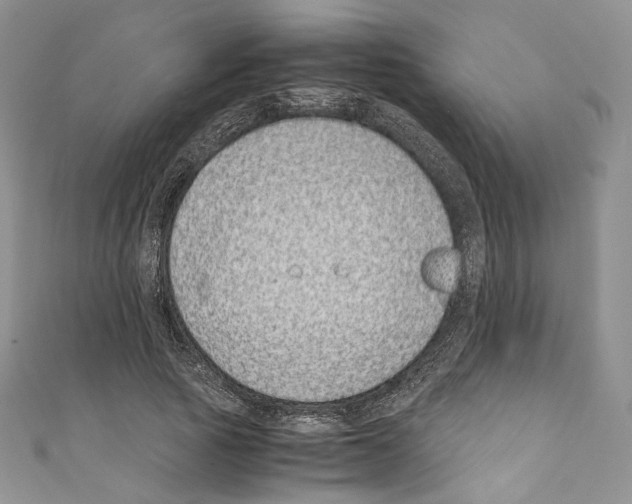 X0000110770737200907271203