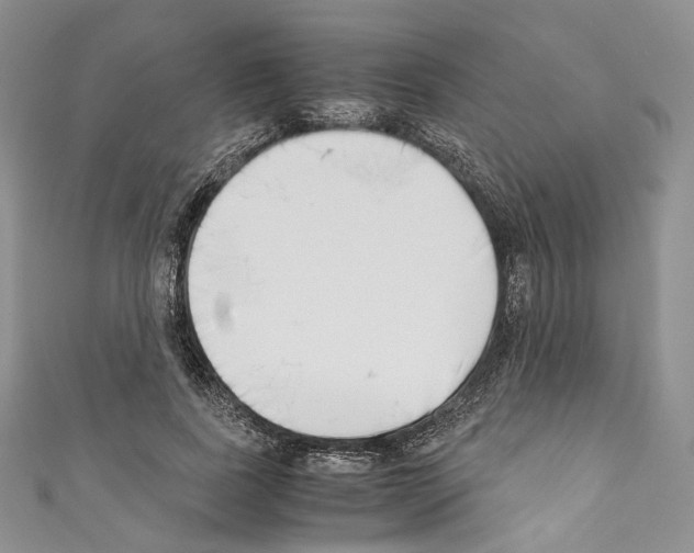 X0000110770739200907271203