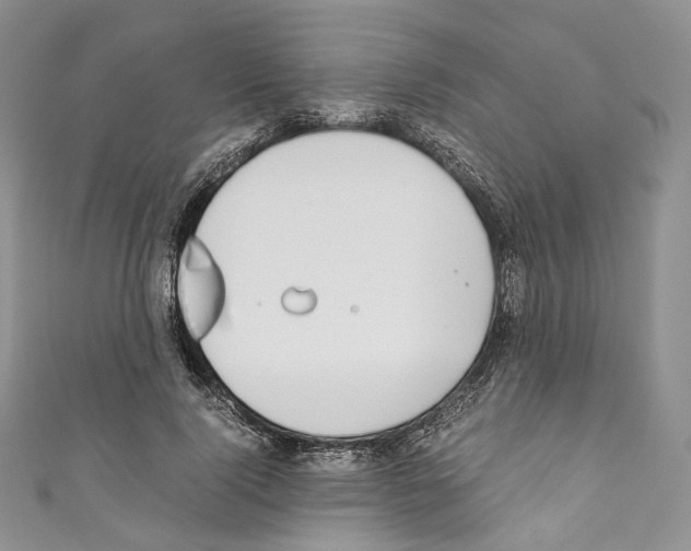 X0000110770740200907271203