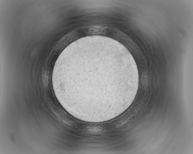 X0000110770741200907271203