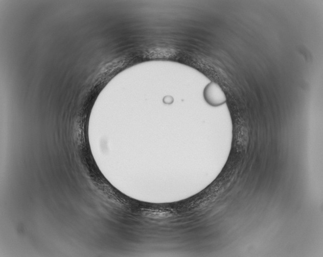 X0000110770743200907271204