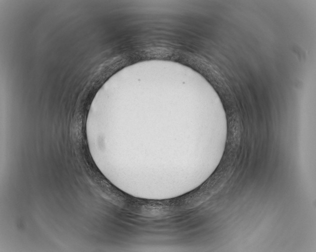 X0000110770745200907271204