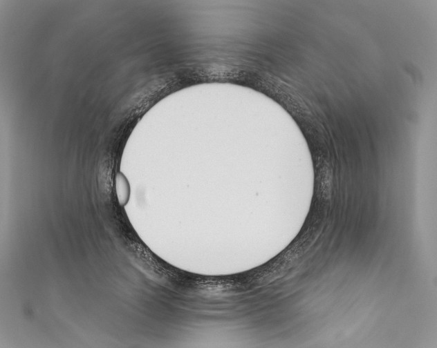 X0000110770746200907271204