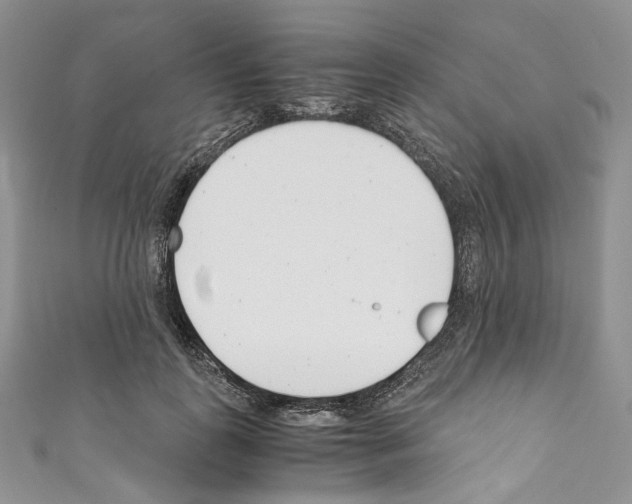 X0000110770747200907271204