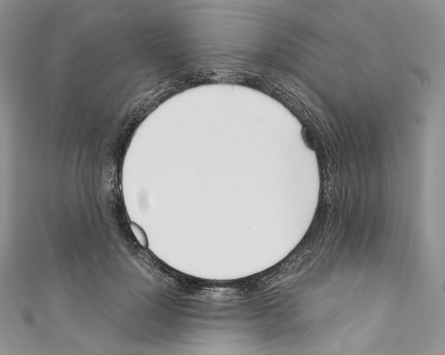 X0000110770748200907271204