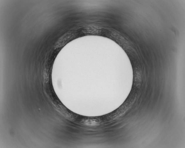 X0000110770751200907271204