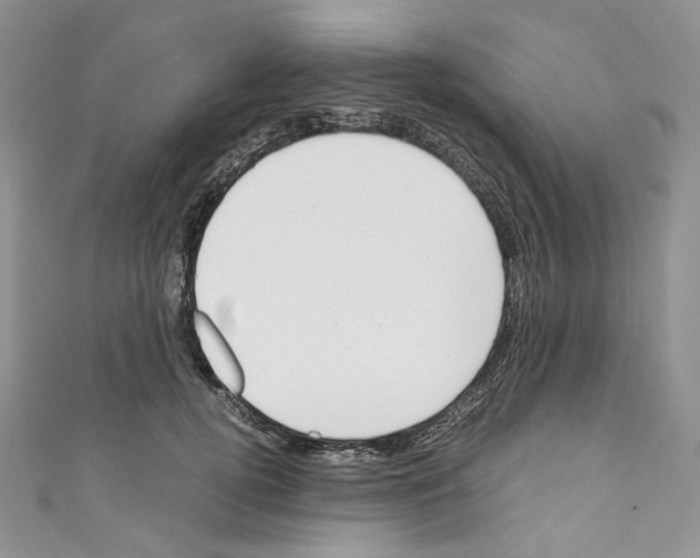 X0000110770752200907271204