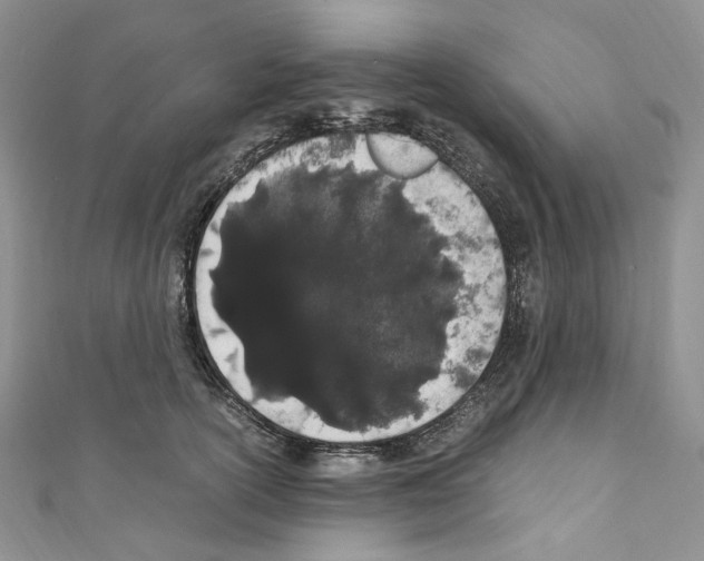 X0000110770754200907271204