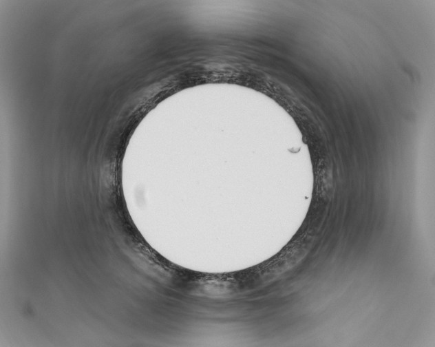 X0000110770756200907271204