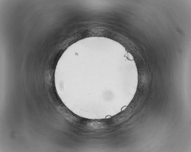 X0000110770759200907271204