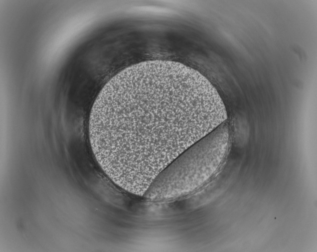 X0000110770762200907271204