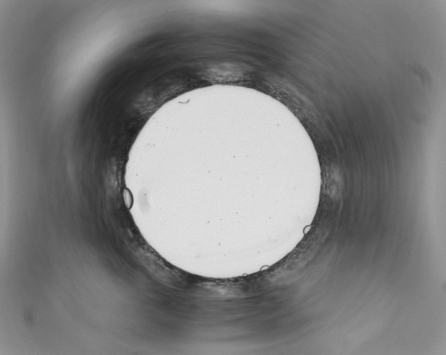 X0000110770763200907271204